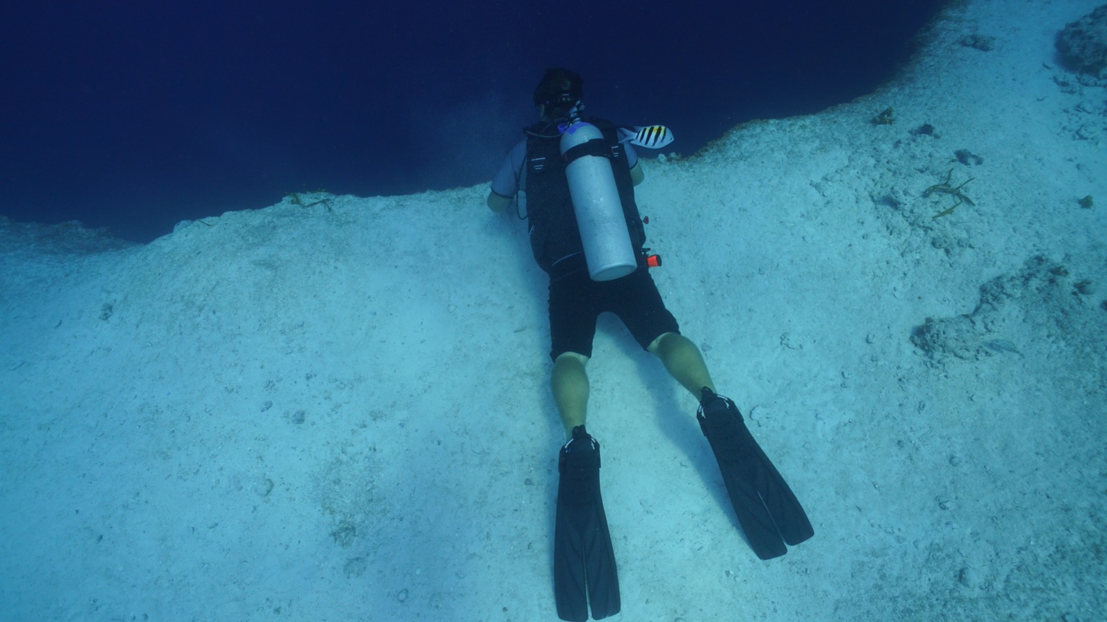 Not sure where to start?