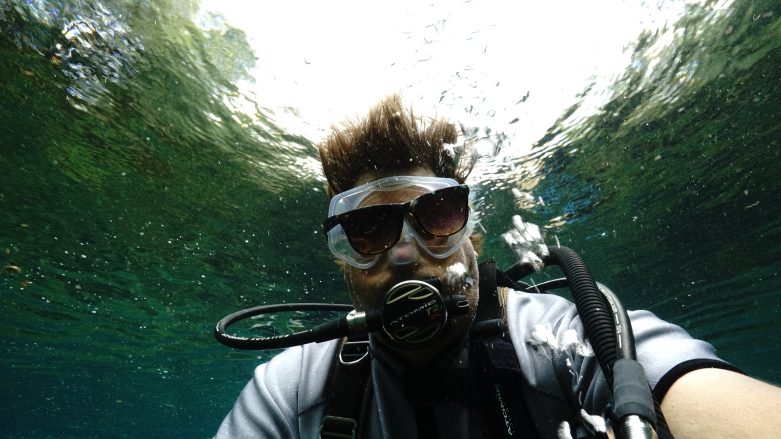 Professional Leadership